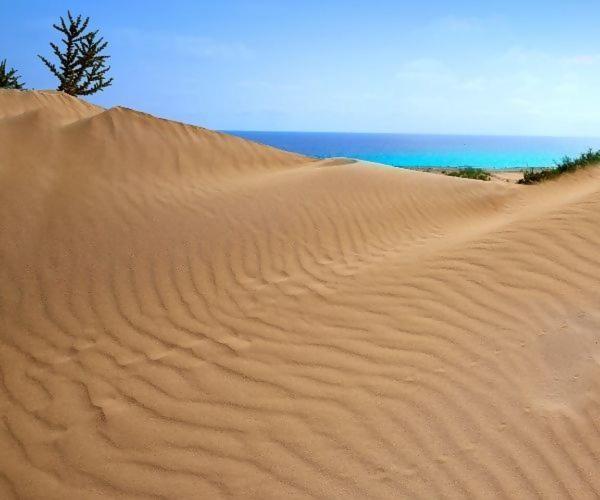Sol Y Sal De Corralejo (Adults Only) Luaran gambar